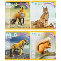 Зошит кольоровий 48 аркушів, клітинка 3879