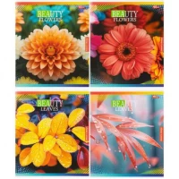 Зошит кольоровий 48 аркушів, клітинка 3881