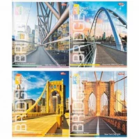 Зошит кольоровий 96 аркушів, клітинка 3886