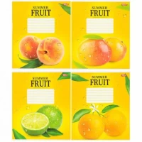 Зошит кольоровий 24 листи, клітина 3863