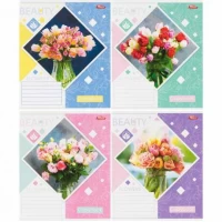 Зошит кольоровий 48 аркушів, лінія 3875