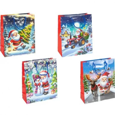 Пакет подарунковий Новий Рік 18х21,5х8см 2576-1
