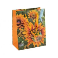 Пакет подарунковий 18х23х10 см  GB-24130