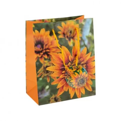 Пакет подарунковий 18х23х10 см  GB-24130