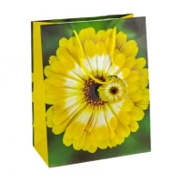 Пакет подарунковий 26х32х12 см GB-24163 Пакет подарунковий 26х32х12 см GB-24163