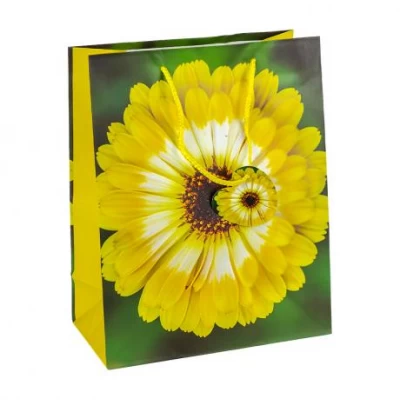 Пакет подарунковий 26х32х12 см GB-24163 Пакет подарунковий 26х32х12 см GB-24163