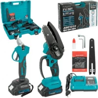 Набір акумуляторних інструментів 2-в-1: ланцюгова міні-пила та секатор в кейсі + коробка ASR1013