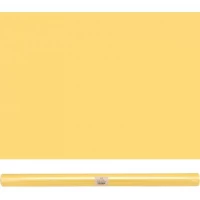 Папір пакувальний для квітів 56см*10м COLOR 8 Папір пакувальний для квітів 56см*10м COLOR 8