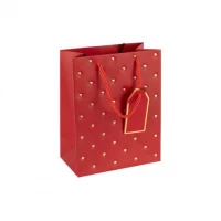 Пакет подарунковий 18х23х10см з тисненням фольгою Сердечки RED HL-1955