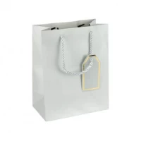 Пакет подарунковий 26х32х12см однотонний SILVER HL-1992