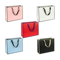 Пакет подарунковий 16х7х13 см горизонтальний однотонний HL-114