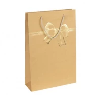 Пакет кольоровий великий КРАФТ вертикальний 25х39х8см 5063