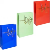 Пакет кольоровий великий Бант картон вертикальний 24х35х10см 5065