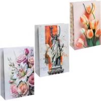 Пакет кольоровий гігант МІКС вертикальний 45х30х12см 6046