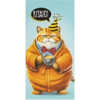 Конверт для грошей вітальний Вітаю КВ 25-193