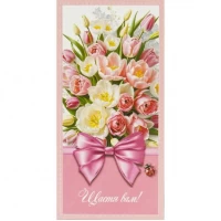 Конверт для грошей вітальний Щастя вам КВ 25-260