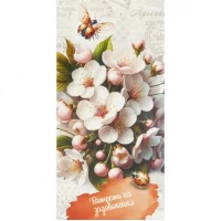 Конверт для грошей вітальний Витрать на задоволення КВ 25-281