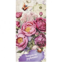 Конверт для грошей вітальний Витрать на задоволення КВ 25-282