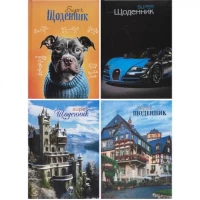 Щоденник В5 тверда обкладинка Поролон (4+4)