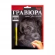 Гравюра А5 Danko Toys 210х148мм ГР-А5-01с