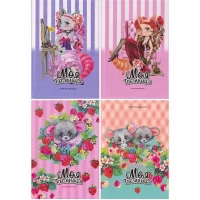 Блокнот Секретник для дівчаток А5 тв.пр/мат. лам., український 200958/ДН422/7-10