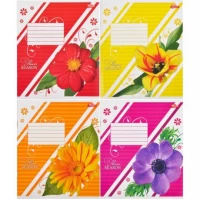 Зошит кольоровий 12 листів, лінія 2544 D