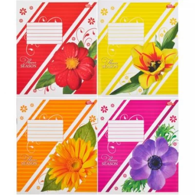 Зошит кольоровий 12 листів, лінія 2544 D