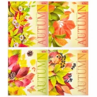 Тетрадь цветная 96 листов, линия "2924" N