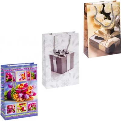 Пакет кольоровий середній Подарунок 26х16, 5х7 см 3003 Пакет кольоровий середній Подарунок 26х16, 5х7 см 3003