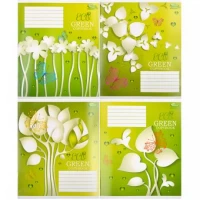 Зошит кольоровий 24 аркуші, лінія Green 2323