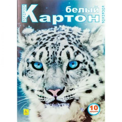 Білий картон А4 10арк. двосторонній, глянсово-матовий, 250 г/м² Коленкор Аляска 7582/7583 Білий картон А4 10арк. двосторонній, глянсово-матовий, 250 г/м² Коленкор Аляска 7582/7583