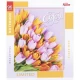 Зошит кольоровий 96 аркушів, клітинка 3581 D