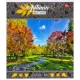 Зошит кольоровий 48 аркушів, лінія 3474 N