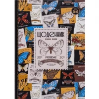 Щоденник В5 тв.обкл./мат.лам (4+4) 24010/ДН007/3