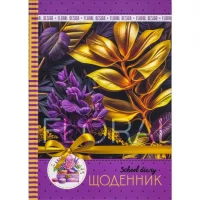 Щоденник В5 тв.обкл./мат.лам (4+4) 24011/ДН007/4 Щоденник В5 тв.обкл./мат.лам (4+4) 24011/ДН007/4