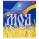 Зошит кольоровий 96 аркушів, клітинка 3629N