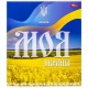 Зошит кольоровий 96 аркушів, клітинка 3629N