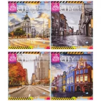 Зошит кольоровий 48 аркушів, лінія 3667 N