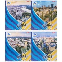 Зошит кольоровий 48 аркушів, клітинка 3782 N