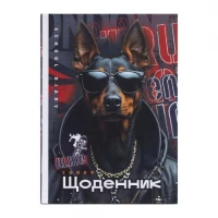 Щоденник А5 тв.обкл./матова ламінація  (1+1) 25092