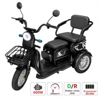 Електроскутер триколісний 600W зі складним сидінням, колеса 10, чорний AD26-10