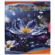Зошит кольоровий 48 аркушів, лінія 3654