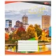 Зошит кольоровий 24 аркуші, клітинка 3870