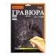 Гравюра А4 Danko Toys 297*210мм ГР-А4-05с Гравюра А4 Danko Toys 297*210мм ГР-А4-05с