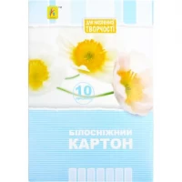 Білий картон А5 10арк. двосторонній, 250 г/м² Аляска