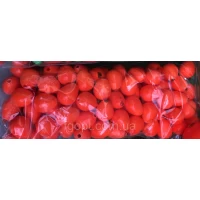 Поплавок на кефальпеленгаса Шаматик Красный Midi (100шт.)