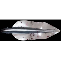 Силикон Relax WingShad 3 цвет L230 (10шт.) NEW