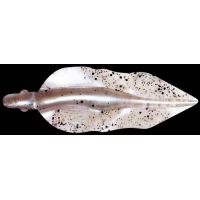 Силикон Relax WingShad 3 цвет L114 (10шт.) NEW