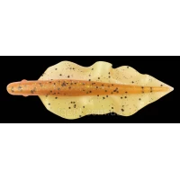 Силикон Relax WingShad 3 цвет L068 (10шт.) NEW