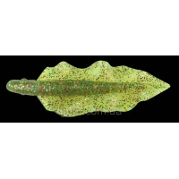 Силикон Relax WingShad 3 цвет S168 (10шт.) NEW